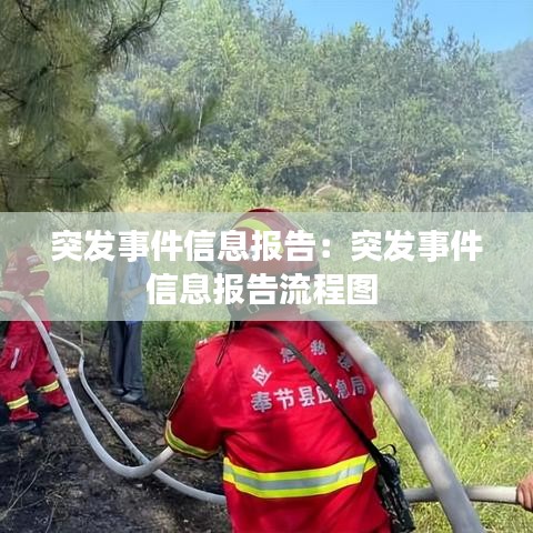 突发事件信息报告：突发事件信息报告流程图 
