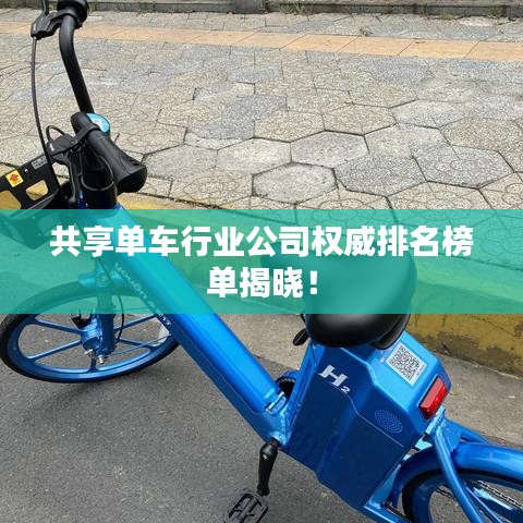 共享单车行业公司权威排名榜单揭晓！