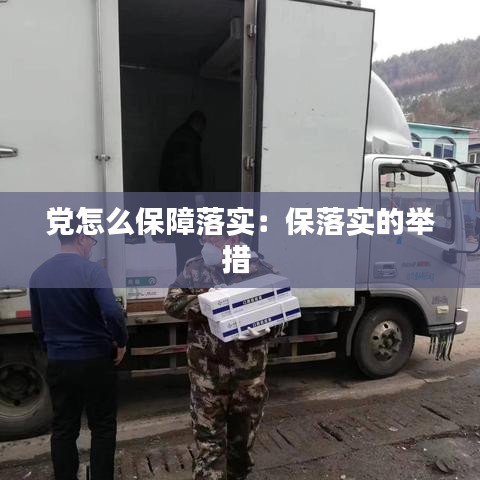 党怎么保障落实：保落实的举措 