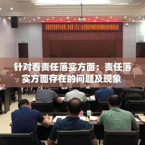 针对看责任落实方面：责任落实方面存在的问题及现象 