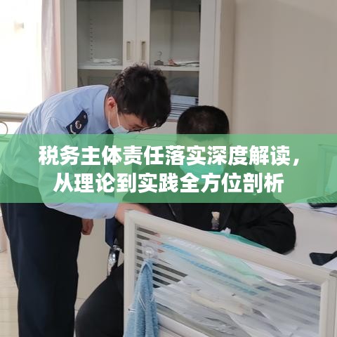 税务主体责任落实深度解读，从理论到实践全方位剖析