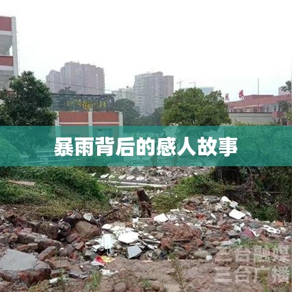 暴雨背后的感人故事
