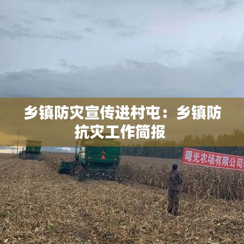 乡镇防灾宣传进村屯：乡镇防抗灾工作简报 