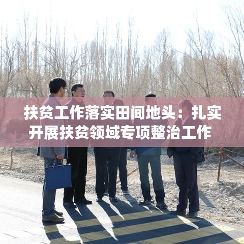扶贫工作落实田间地头：扎实开展扶贫领域专项整治工作 