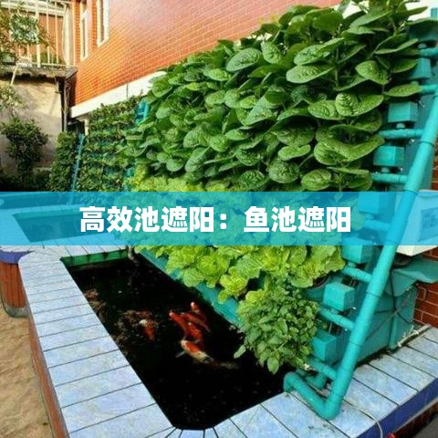 还淳反素 第2页