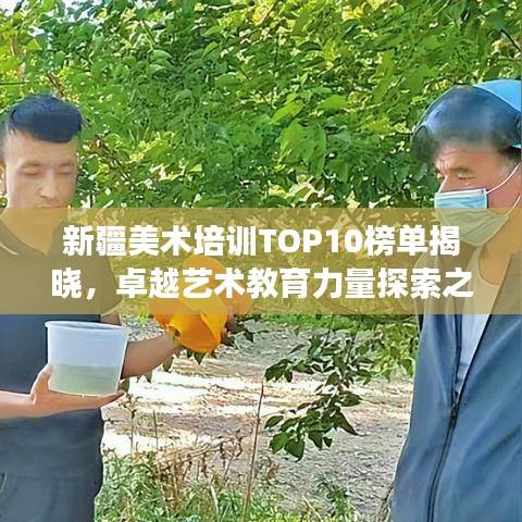 新疆美术培训TOP10榜单揭晓，卓越艺术教育力量探索之旅