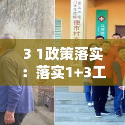 3 1政策落实：落实1+3工作 