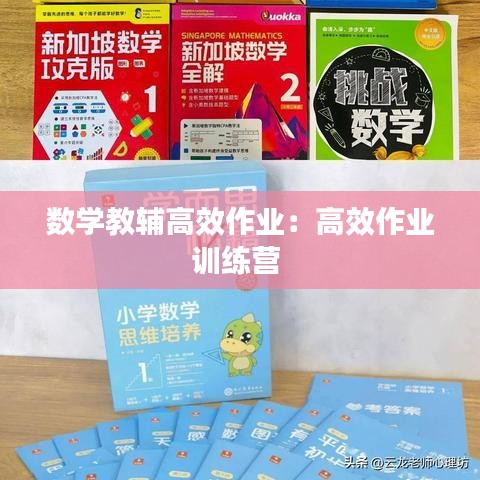 数学教辅高效作业：高效作业训练营 