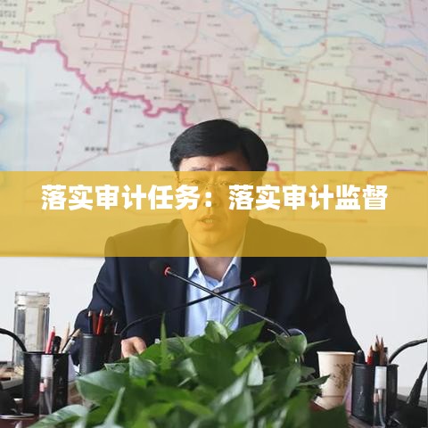 落实审计任务：落实审计监督 