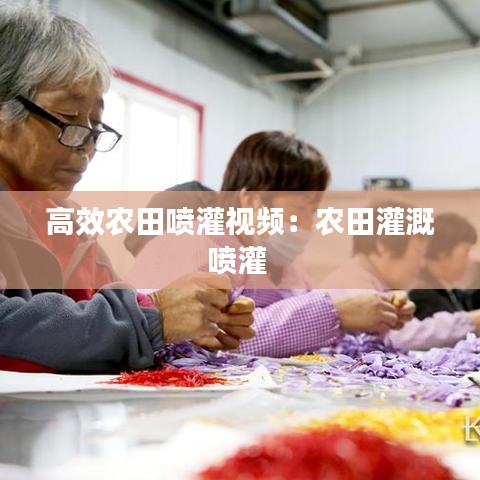 高效农田喷灌视频：农田灌溉喷灌 
