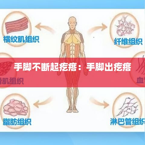 手脚不断起疙瘩：手脚出疙瘩 