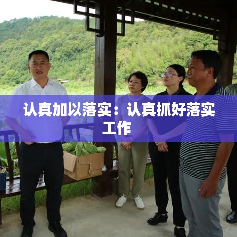 认真加以落实：认真抓好落实工作 