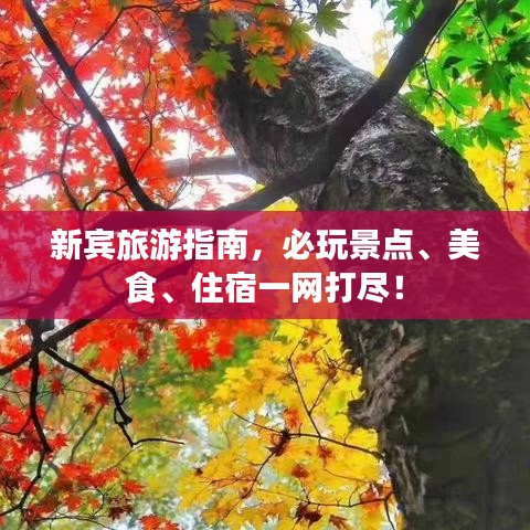 新宾旅游指南，必玩景点、美食、住宿一网打尽！