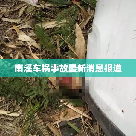 南溪车祸事故最新消息报道