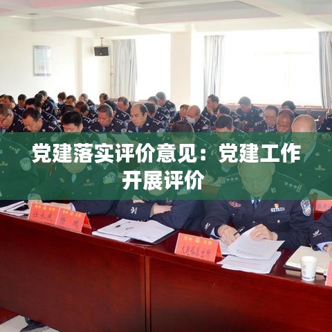 党建落实评价意见：党建工作开展评价 