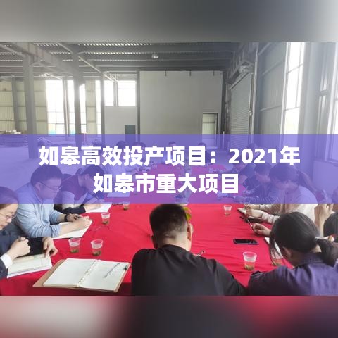 如皋高效投产项目：2021年如皋市重大项目 