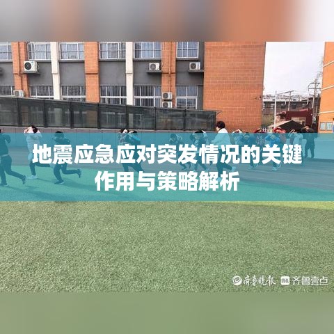地震应急应对突发情况的关键作用与策略解析
