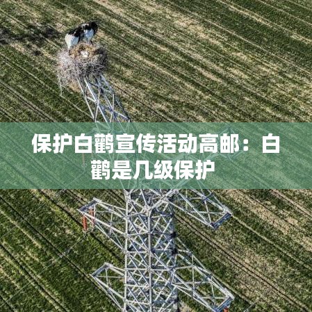 保护白鹳宣传活动高邮：白鹳是几级保护 