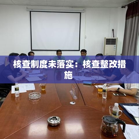 核查制度未落实：核查整改措施 
