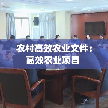 农村高效农业文件：高效农业项目 