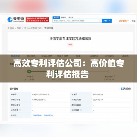 高效专利评估公司：高价值专利评估报告 