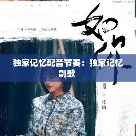 独家记忆配音节奏：独家记忆副歌 