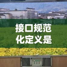 接口规范化定义是什么：接口规划 