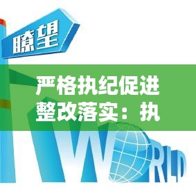 严格执纪促进整改落实：执行纪律方面整改 