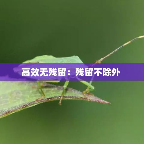 高效无残留：残留不除外 