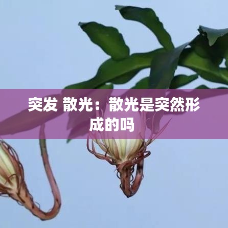 突发 散光：散光是突然形成的吗 