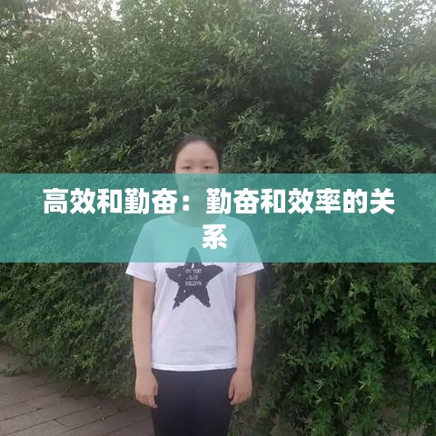 高效和勤奋：勤奋和效率的关系 
