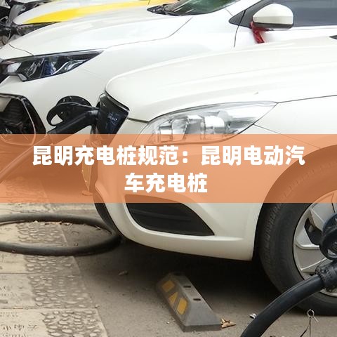 见仁见智 第2页