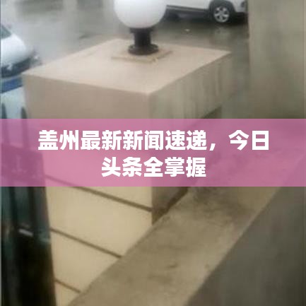 盖州最新新闻速递，今日头条全掌握