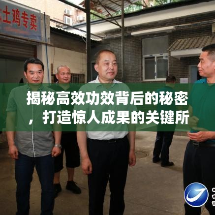 揭秘高效功效背后的秘密，打造惊人成果的关键所在！