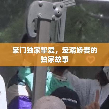 豪门独家挚爱，宠溺娇妻的独家故事