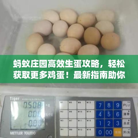 蚂蚁庄园高效生蛋攻略，轻松获取更多鸡蛋！最新指南助你轻松升级！