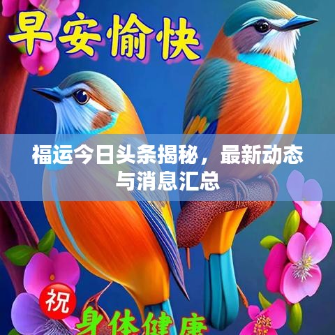 福运今日头条揭秘，最新动态与消息汇总