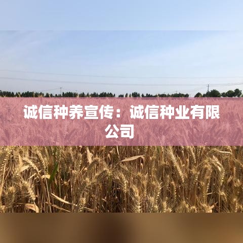 靡颜腻理 第2页