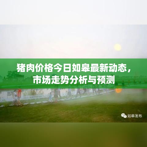 猪肉价格今日如皋最新动态，市场走势分析与预测