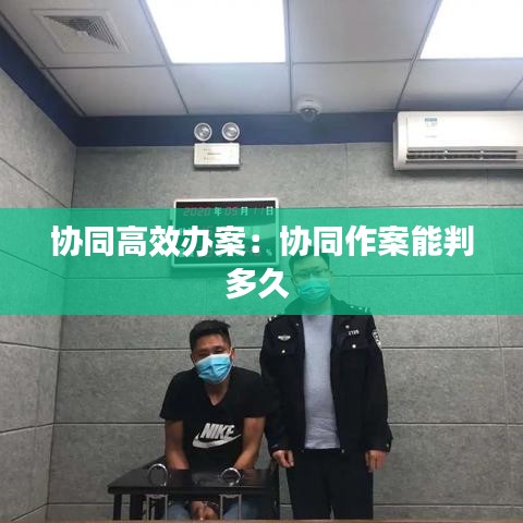 协同高效办案：协同作案能判多久 