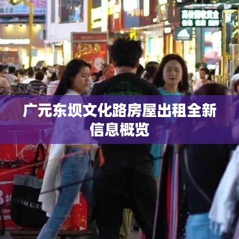 广元东坝文化路房屋出租全新信息概览