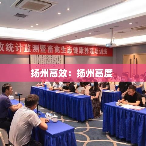 扬州高效：扬州高度 