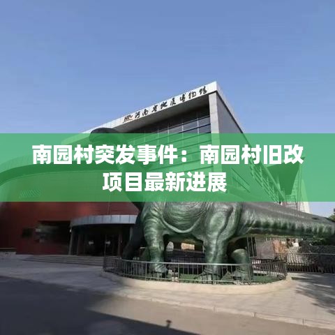 南园村突发事件：南园村旧改项目最新进展 