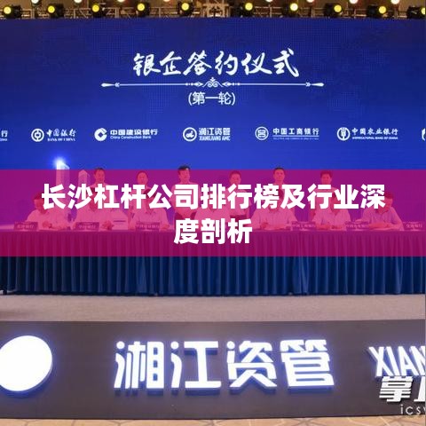 长沙杠杆公司排行榜及行业深度剖析