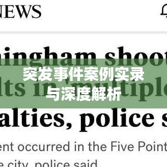 突发事件案例实录与深度解析
