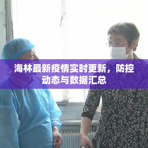 海林最新疫情实时更新，防控动态与数据汇总