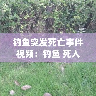 钓鱼突发死亡事件视频：钓鱼 死人 