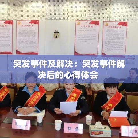突发事件及解决：突发事件解决后的心得体会 