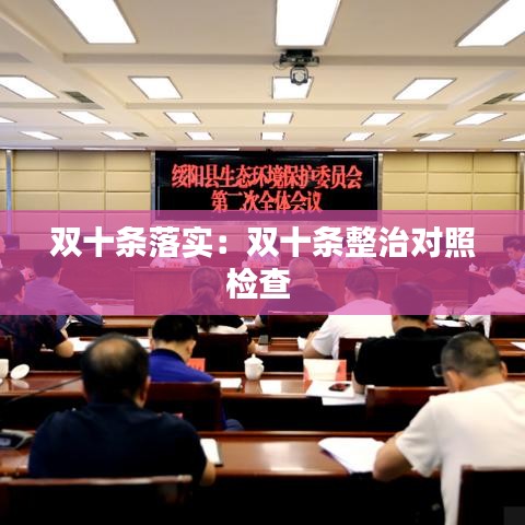 双十条落实：双十条整治对照检查 