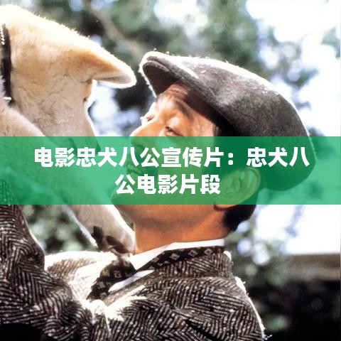 电影忠犬八公宣传片：忠犬八公电影片段 